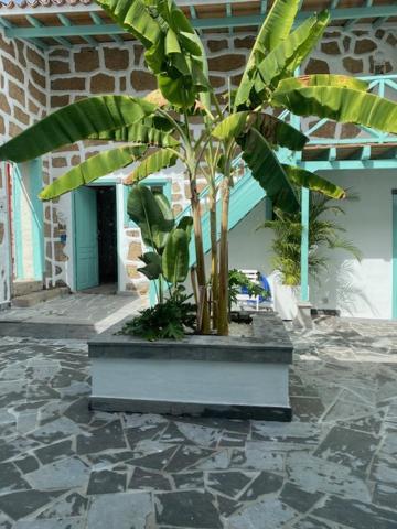 Hacienda De Las Indias, Cali กรานาดิลญา เด อาโบนา ภายนอก รูปภาพ